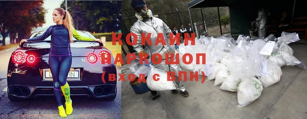 твердый Алексин