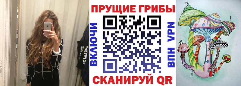 OMG ссылки где купить наркотик Узловая Псилоцибиновые грибы GOLDEN TEACHER